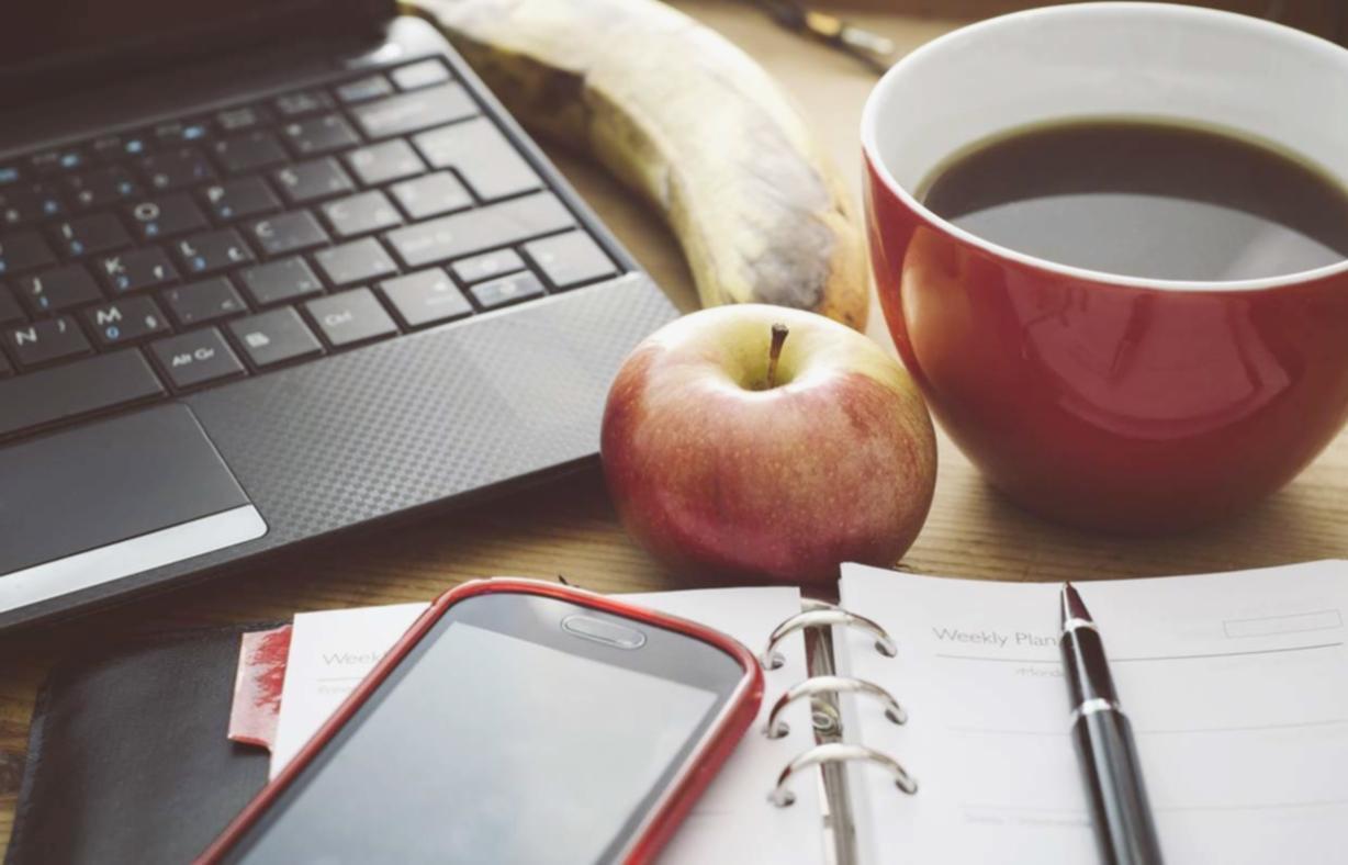 Curriculum overview for reputation management courses